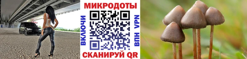 Галлюциногенные грибы мухоморы  где можно купить   Альметьевск 